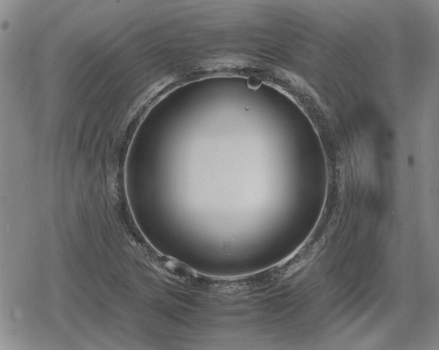 X0000078841217200611201305