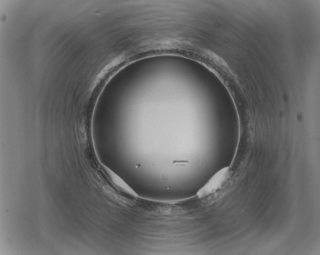 X0000078841218200611201305