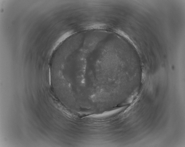 X0000078841219200611201305