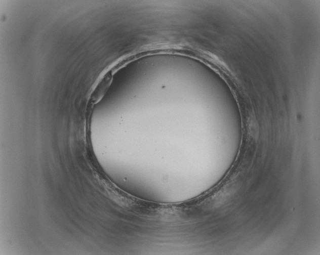 X0000078841220200611201305