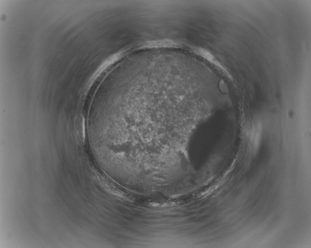 X0000078841221200611201305