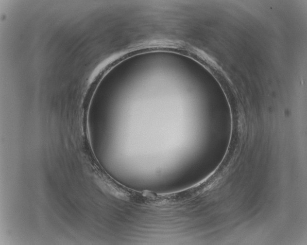 X0000078841222200611201305