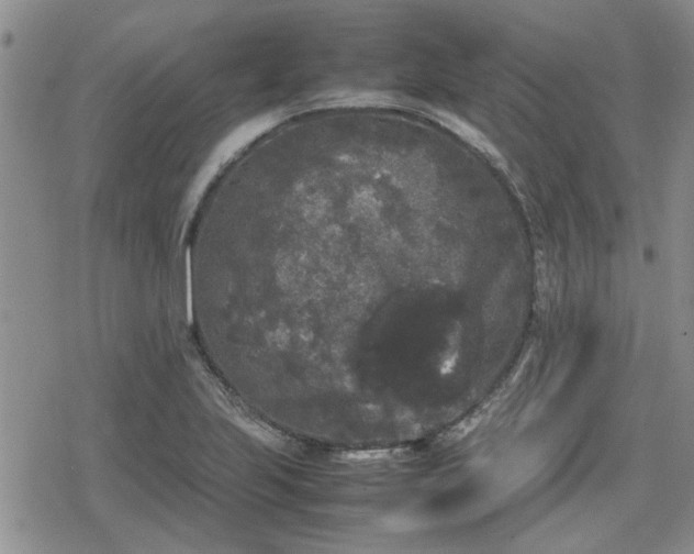 X0000078841223200611201305