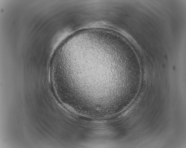 X0000078841224200611201305