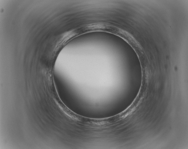 X0000078841225200611201305