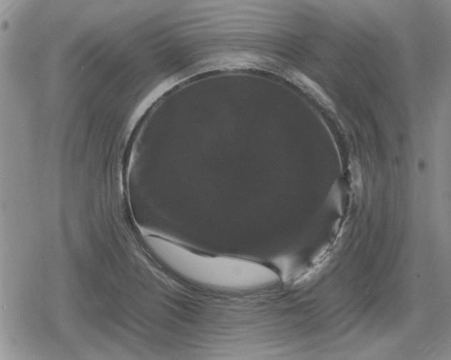 X0000078841226200611201305