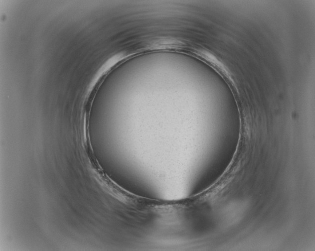 X0000078841227200611201305