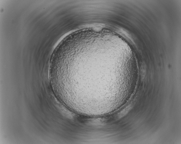 X0000078841228200611201305