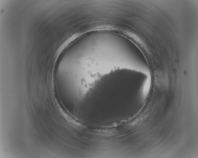 X0000078841229200611201305