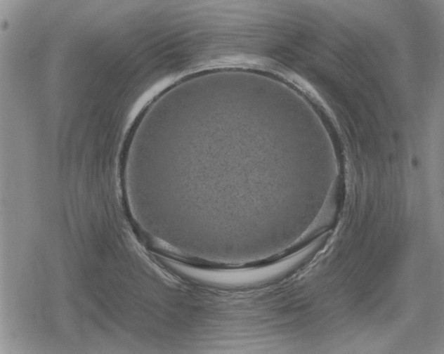 X0000078841230200611201305