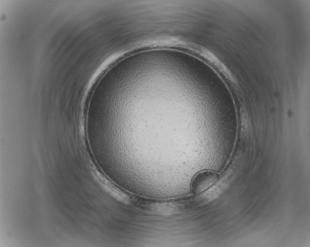 X0000078841232200611201305