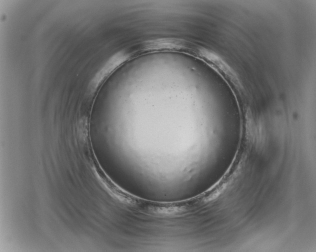 X0000078841233200611201305