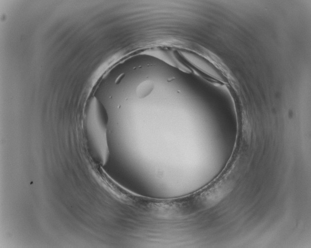 X0000078841234200611201305