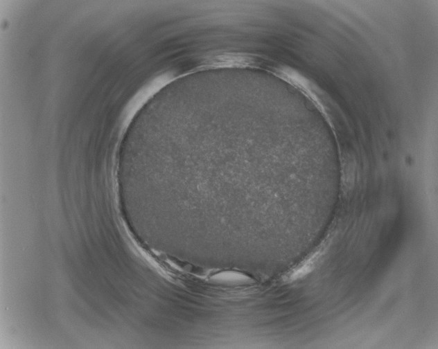 X0000078841235200611201305