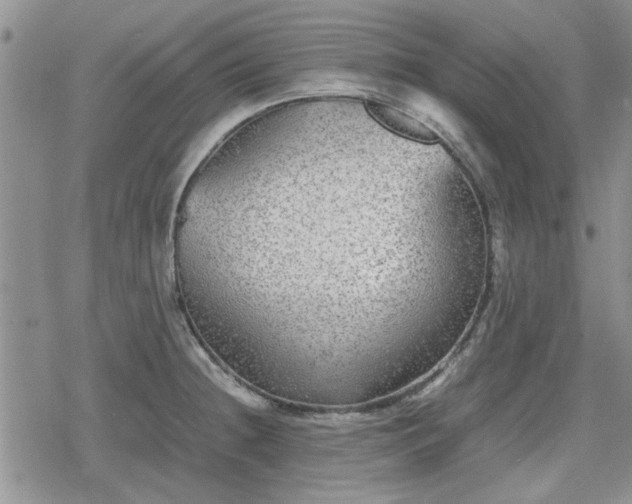 X0000078841236200611201305