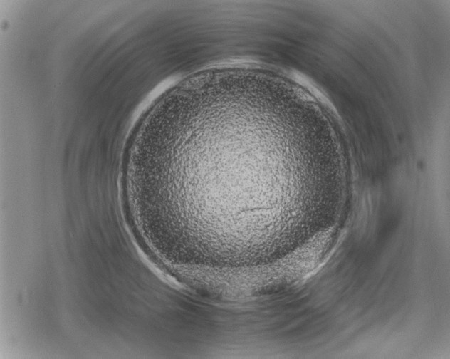 X0000078841237200611201305