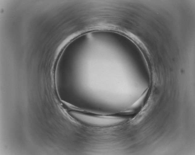 X0000078841238200611201305