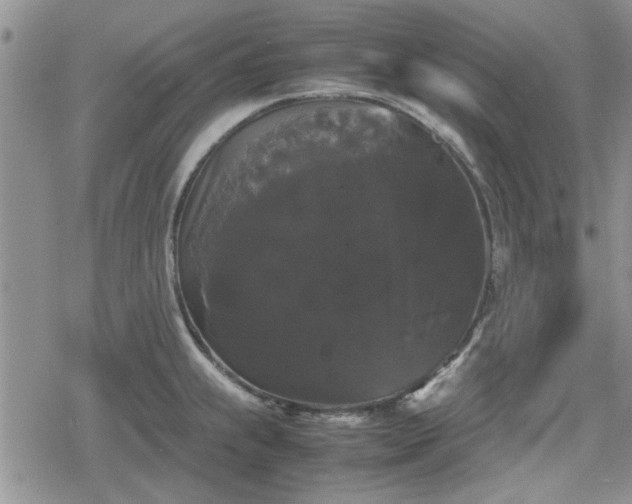 X0000078841239200611201305