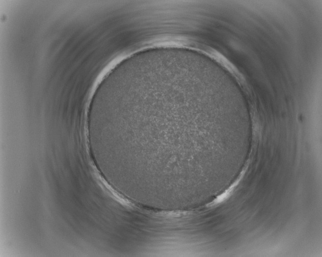 X0000078841240200611201305