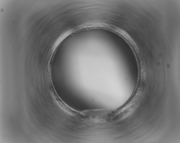 X0000078841242200611201305