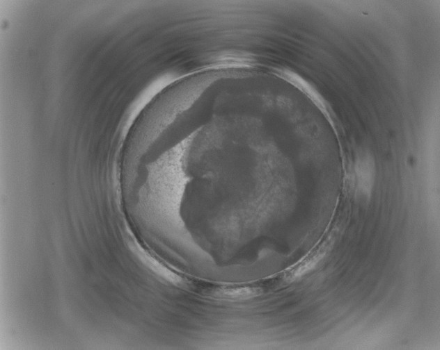 X0000078841243200611201305