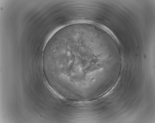 X0000078841244200611201305