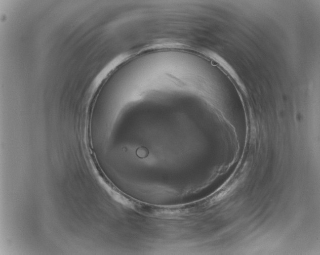 X0000078841245200611201305