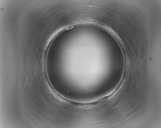 X0000078841246200611201305