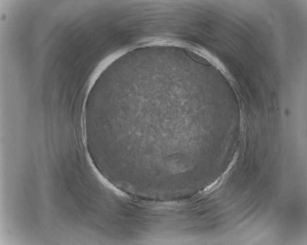 X0000078841247200611201305