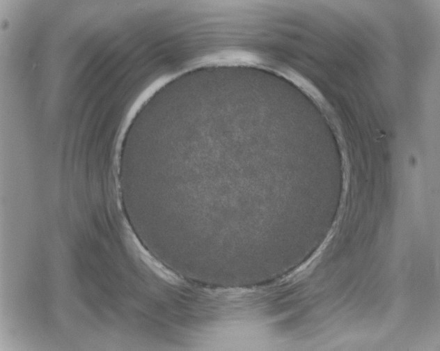 X0000078841248200611201305