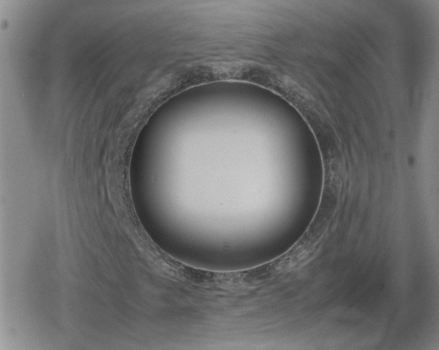 X0000078841249200611201304