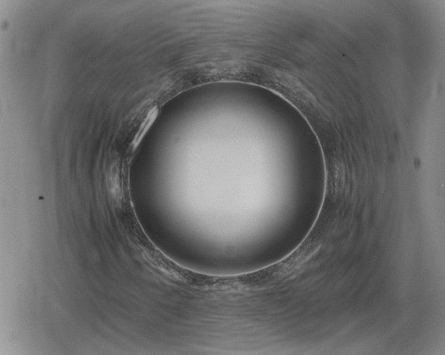 X0000078841250200611201304