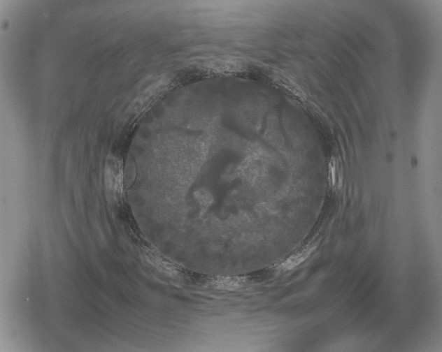 X0000078841251200611201304