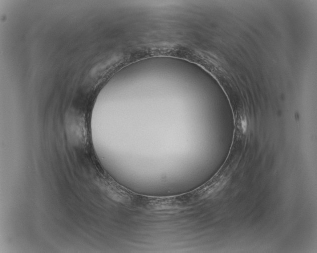 X0000078841252200611201304