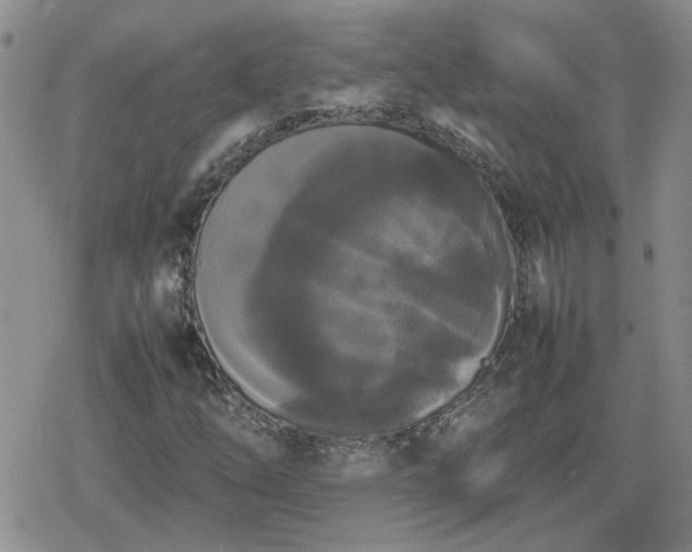 X0000078841254200611201304