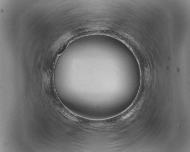 X0000078841257200611201304