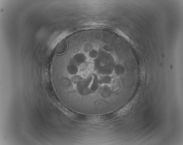 X0000078841259200611201304