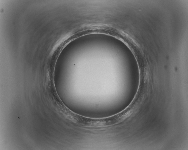 X0000078841261200611201304