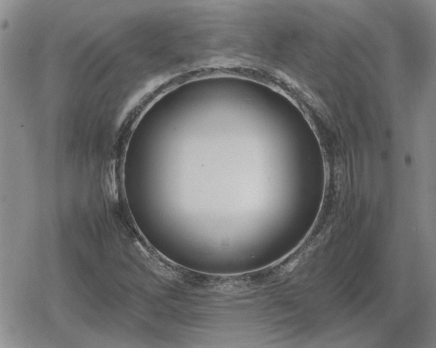 X0000078841262200611201304