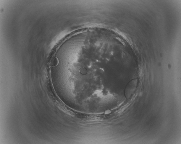 X0000078841263200611201304