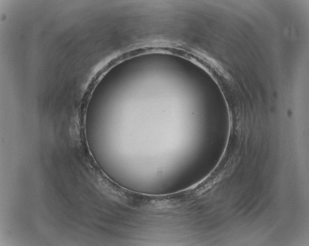 X0000078841264200611201304