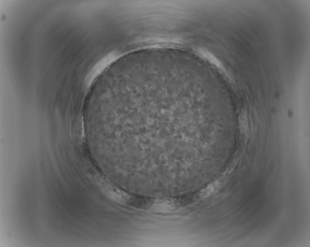 X0000078841267200611201304