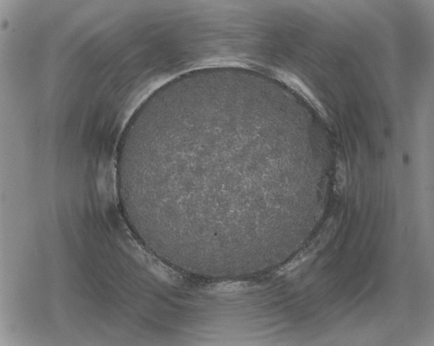 X0000078841268200611201304