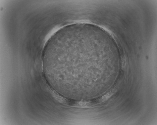 X0000078841271200611201304