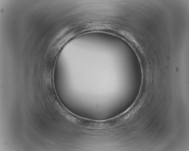 X0000078841273200611201304