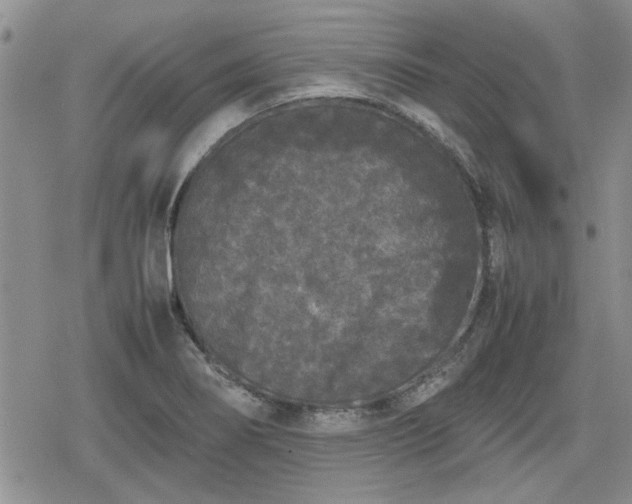 X0000078841274200611201304