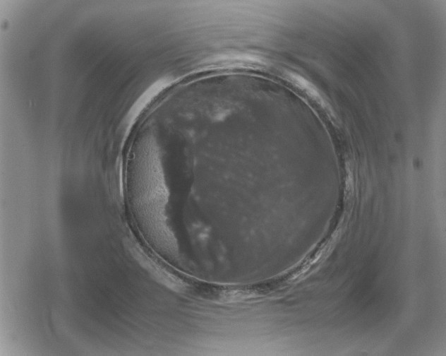 X0000078841275200611201304