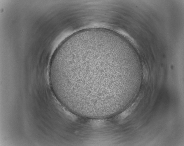 X0000078841278200611201304