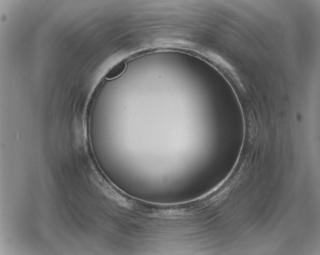 X0000078841280200611201304