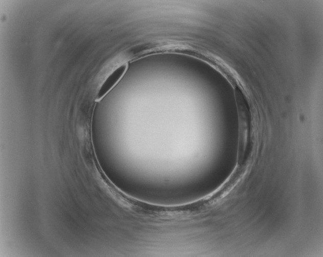 X0000078841281200611201304